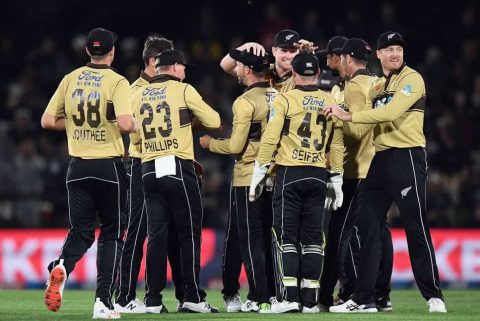 NZ vs NED Dream11 Prediction With Stats, Pitch Report & Player Record of Netherlands Tour of New Zealand, 2022 For 1st T20I