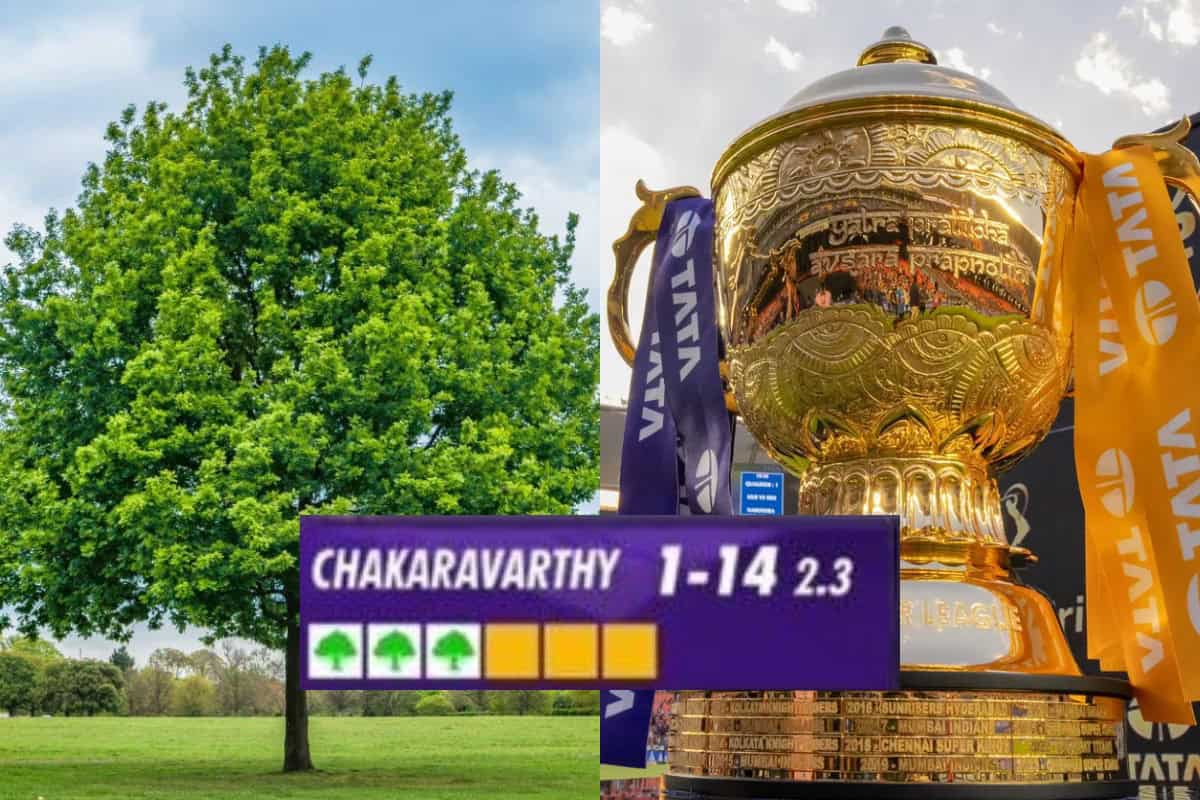 BCCI will plant 500 trees for each dot ball bowled in IPL 2024 Playoffs