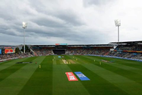 BBL 2024-25: Pitch Report for Sydney Showground Stadium Ahead of THU vs STA Knockout Match